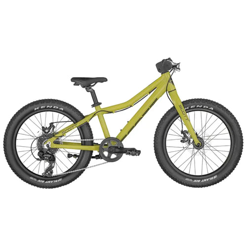 2025 Scott Roxter 20 Disc 20 Inch Kids Mountain Bike in Green