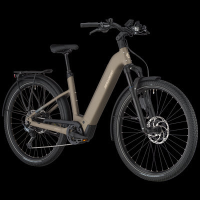 Bergamont E-Horizon Suv 10 Wave Electric Hybrid Bike In Warm Silver-image-3