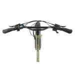 Pedal Brewer Electric Cruiser Bike in Green