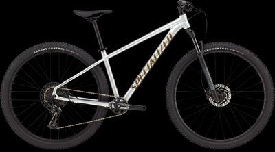 2025 Rockhopper Expert Hardtail Mountain Bike in Gloss Silver & Burnt Gold