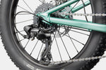 2026 Cannondale Kids Trail Plus 20 Kids Bike in Cactus Green, view 5