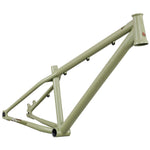 DMR Frame Sect 24 Custom Pistachio