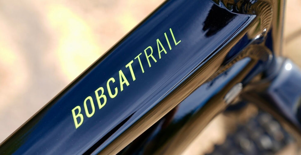 Marin Bobcat Trail 4 Hardtail Mountain Bike in Black and Purple