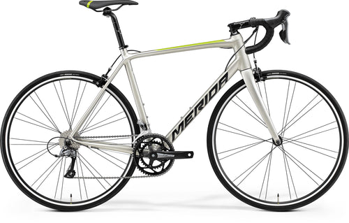 Scultura Rim 100 - Titanium/Green - MY23