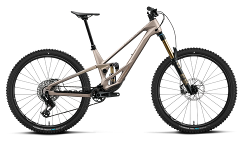 Orbea RALLON E-LTD Mountain Bike in Nickel (Matt) - Nickel Chrome (Gloss), side view