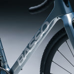 Basso Palta Frameset In Grey Amber