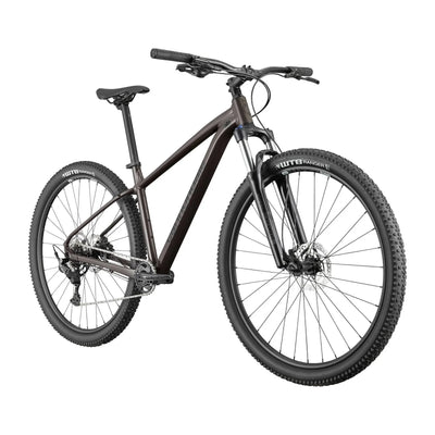 2025 Cannondale Trail 6 Hardtail Mountain Bike in Smoke Black