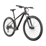 2025 Cannondale Trail 6 Hardtail Mountain Bike in Smoke Black
