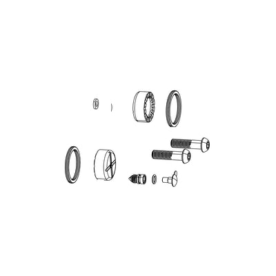 SRAM Disc Brake Caliper Piston Service Kit - (Includes 2 Pistons, 2 Black Steel Bolts, Seals, Bleed Screw, O-Rings) -AXS E1 (SRAM spare parts catalogue drawing)