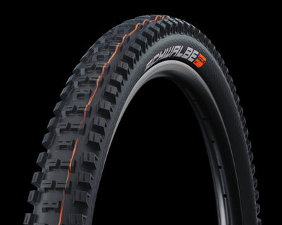 Schwalbe Big Betty Evo Super Trail TLE Addix Soft Tyre in Black