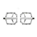 Look Trail Roc Plus Flat Silver Pedals