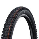 Schwalbe Albert Radial Trail Pro Folding TLE