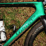 Wilier Rave SLR ID2 Record X Graff Aero Gravel Bike In Green