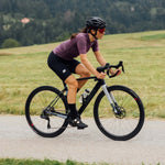 Wilier Rave SL Frameset In Black/Silver