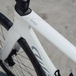 Wilier Rapida Frameset In Weekend White