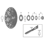 CS-M9100 Sprocket, 14T
