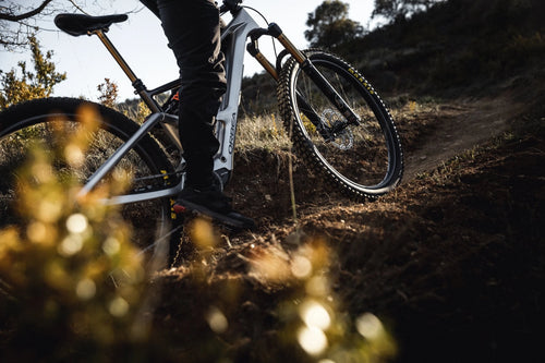 Electric Bikes