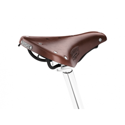 Brooks B17 Short (Ladies) in Brown