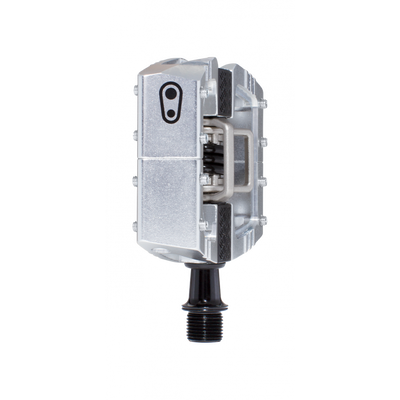 Crankbrothers Mallet DH in Silver
