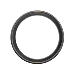 Pirelli P Zero Race TLR in Gold