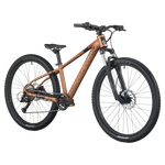 2026 Scott Roxter 600 26 Inch Kids Bike in Alloy