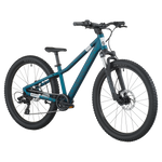 2025 SCOTT Roxter 400 24 Inch Kids Mountain Bike in Loch Green