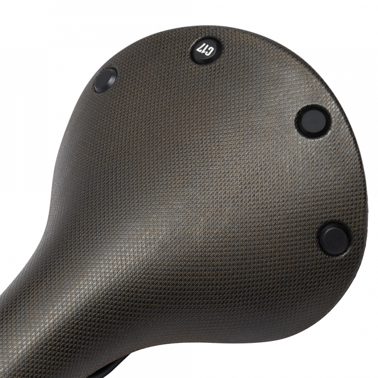 Brooks C17 Cambium All-Weather in Brown