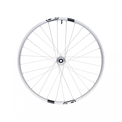 Crankbrothers Synthesis Alloy 2.0 DH 1/1 Front Wheel in Silver