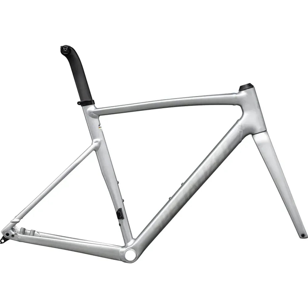 2024 Specialized Allez Sprint Frameset in Satin Fog Tint Brush