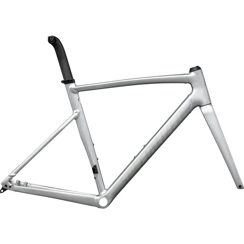 2024 Specialized Allez Sprint Frameset in Satin Fog Tint Brush