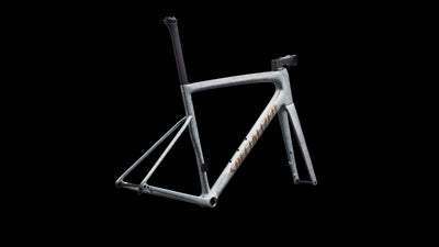 2026 Specialized Tarmac SL8 Frameset in Gloss Silver Dust
