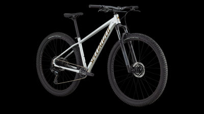 2025 Rockhopper Expert Hardtail Mountain Bike in Gloss Silver & Burnt Gold