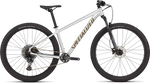 2025 Rockhopper Expert Hardtail Mountain Bike in Gloss Silver & Burnt Gold