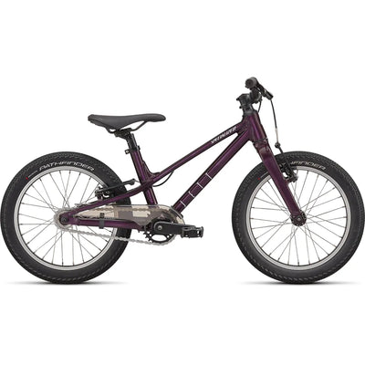 Specialized Jett Single Speed 16 Kid's Bike in Purple