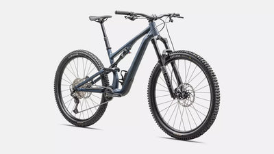 Specialized Stumpjumper Alloy in Cast Blue