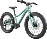 2026 Cannondale Kids Trail Plus 20 Kids Bike in Cactus Green, view 2