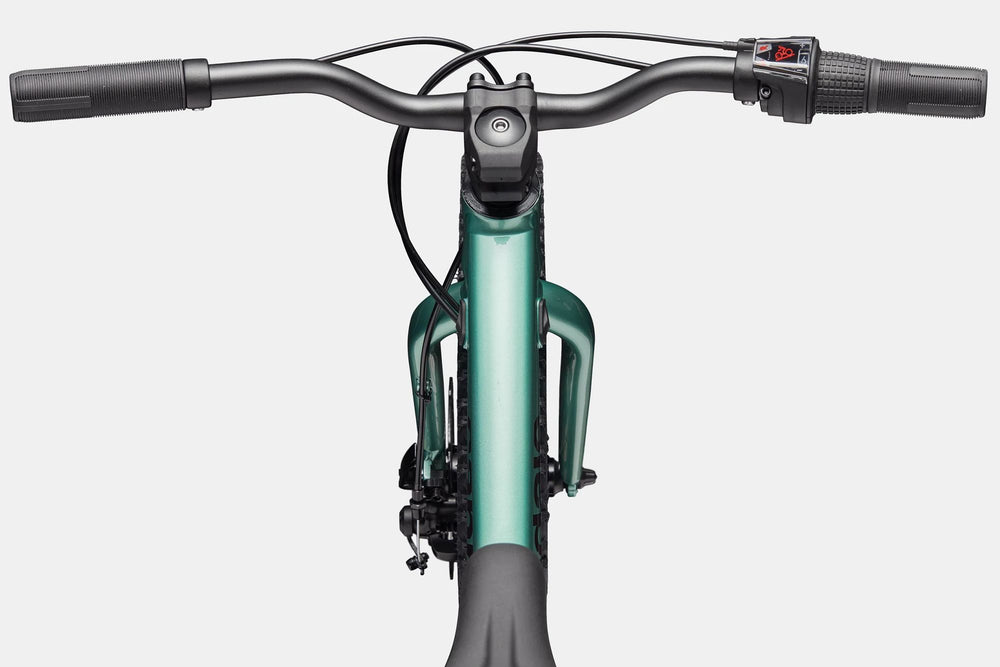 2026 Cannondale Kids Trail Plus 20 Kids Bike in Cactus Green, view 4