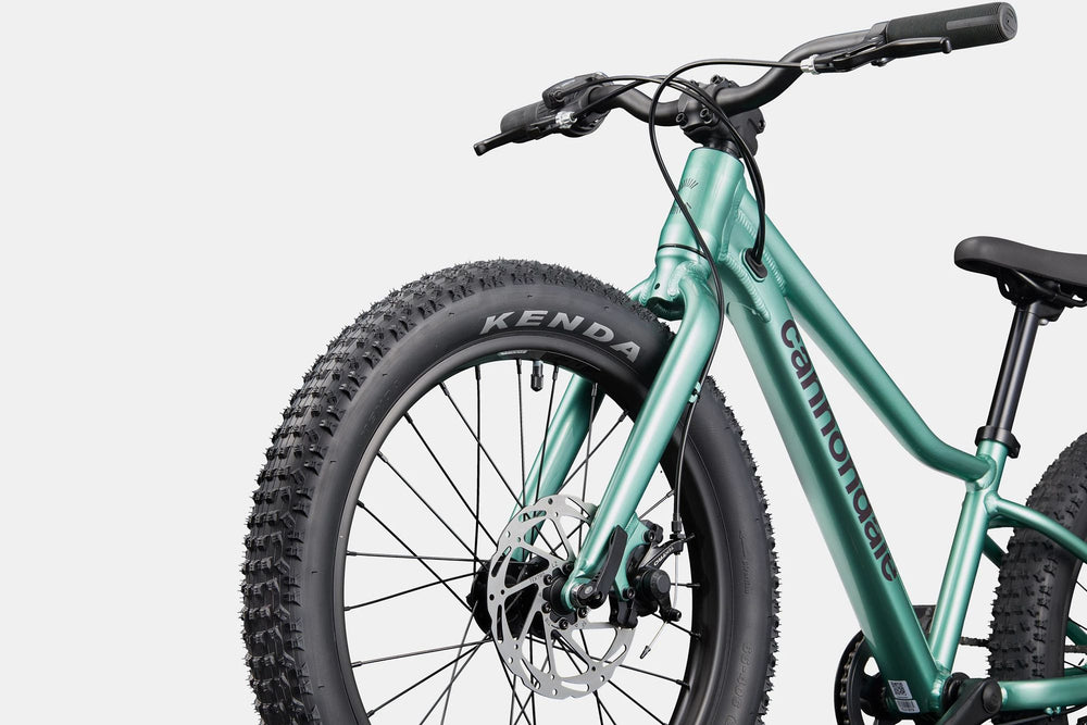 2026 Cannondale Kids Trail Plus 20 Kids Bike in Cactus Green, view 3