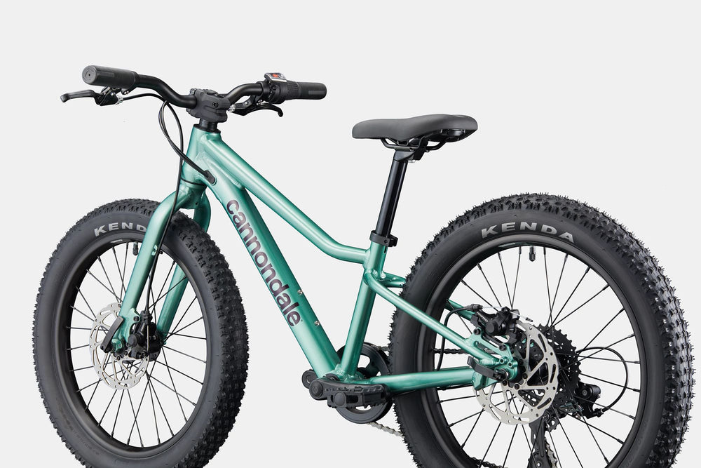 2026 Cannondale Kids Trail Plus 20 Kids Bike in Cactus Green, view 6