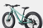 2026 Cannondale Kids Trail Plus 20 Kids Bike in Cactus Green, view 6