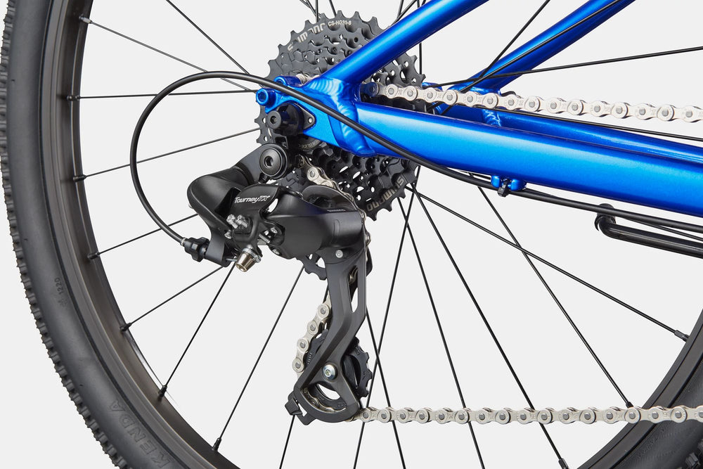 2026 Cannondale Kids Trail 24 Kids Bike in Sonic Blue, view 5