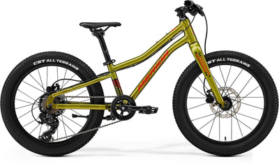 2025 Merida Matts J.20+ Kids Bike in Green