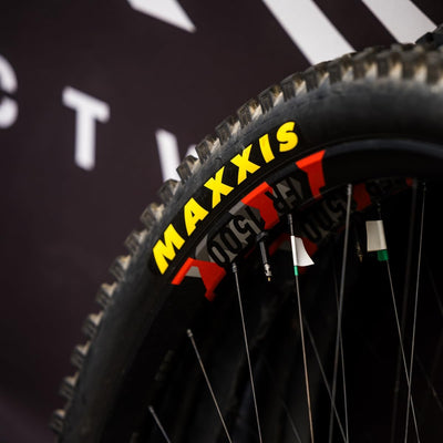 Maxxis Minion DHF Folding EXO Tubeless Ready Tyres