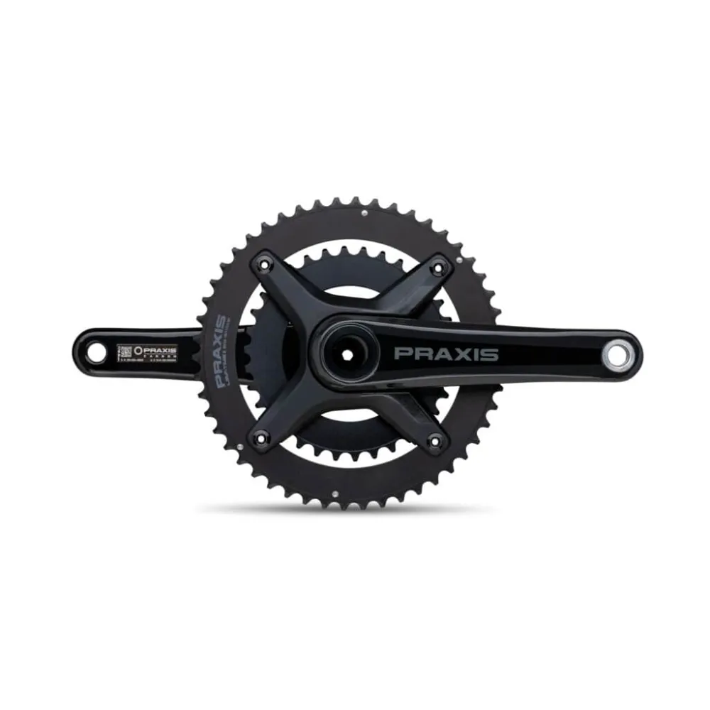 Praxis CS Zayante DM Carbon S