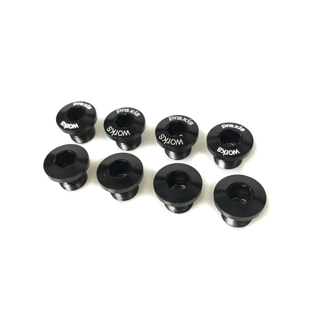 Praxis SPARE Bolts X-Ring Bolts