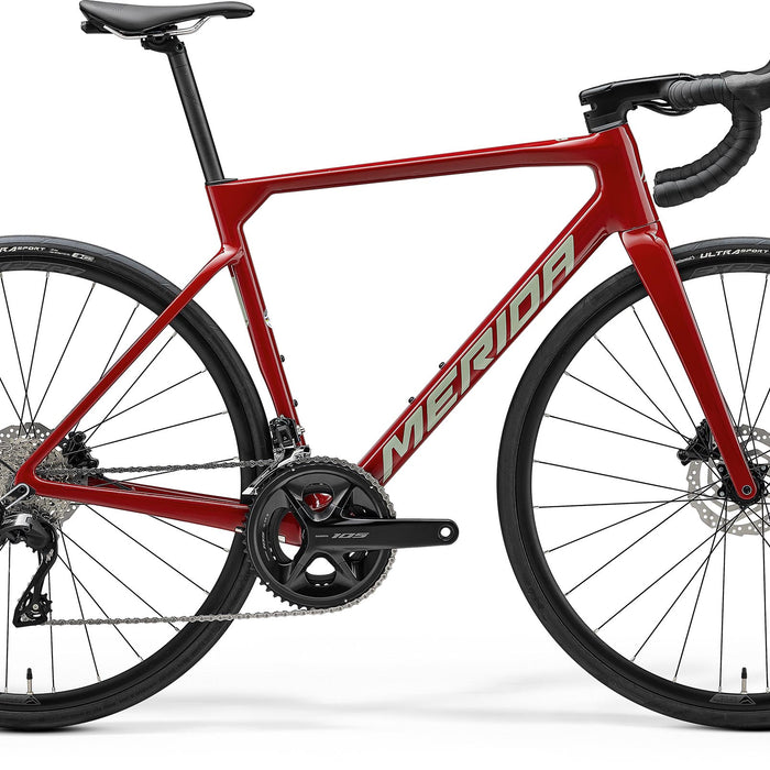 Scultura 4000 - Heritage Red/Grey - MY25