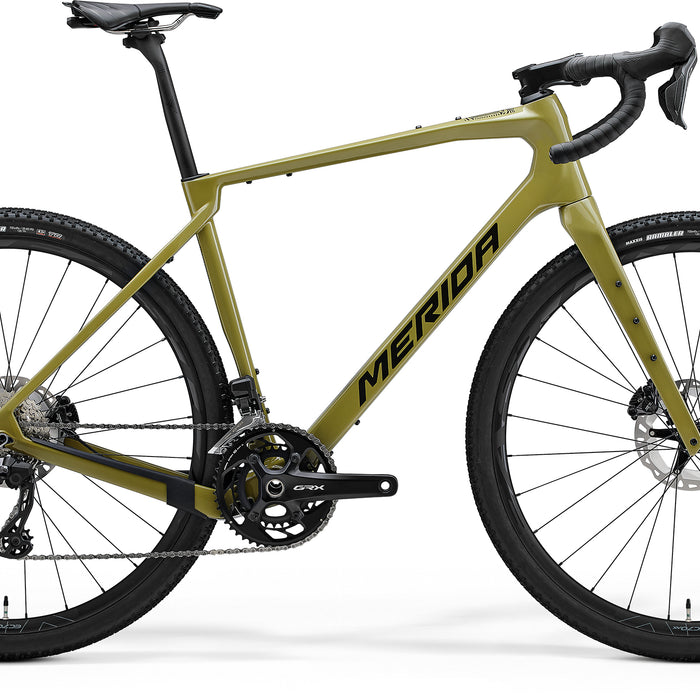 Silex 8000 - Green/Gold/Black - MY25