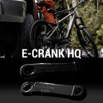Praxis eCranks EC-4 Type 4 172.5mm