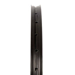 Stans RIM FLOW S2 29 32H BLACK GR
