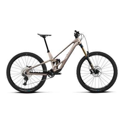 Orbea RALLON E10 Mountain Bike in Nickel (Matt) - Nickel Chrome (Gloss), side view